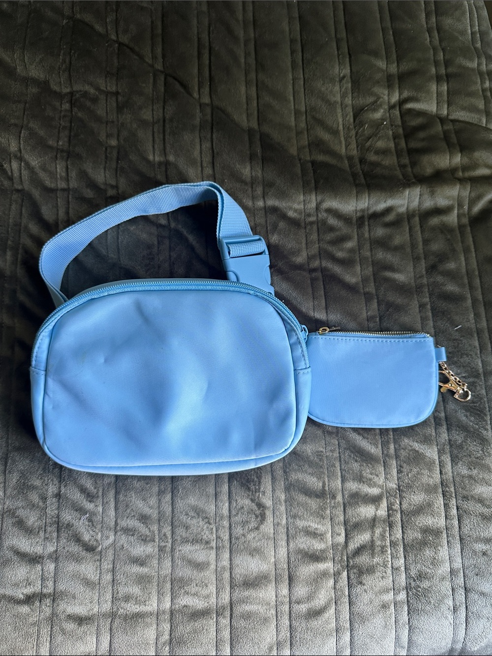 Light Blue Women's Crossbody Belt Bag